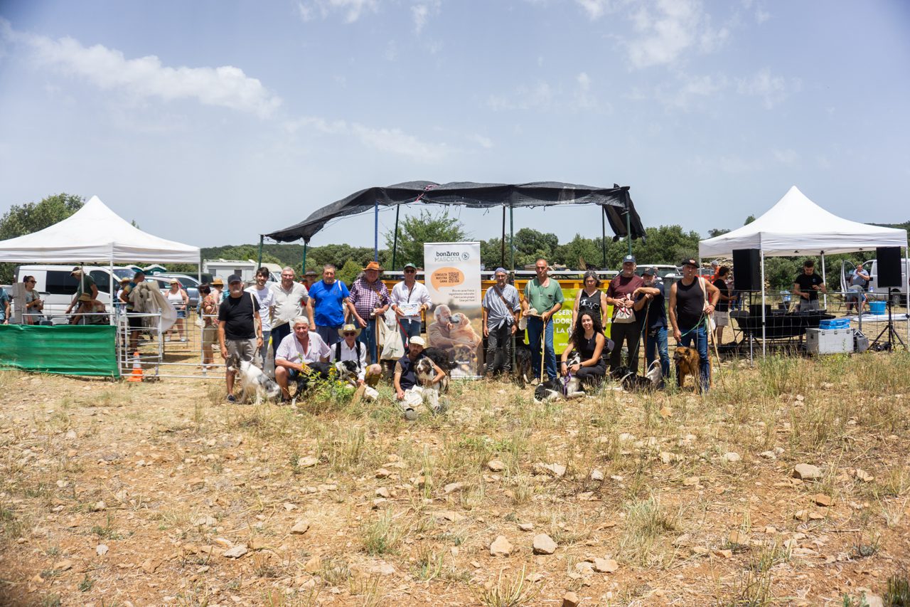 Ares vuelve a ser sede del concurso de perros pastores con un gran nivel de participación