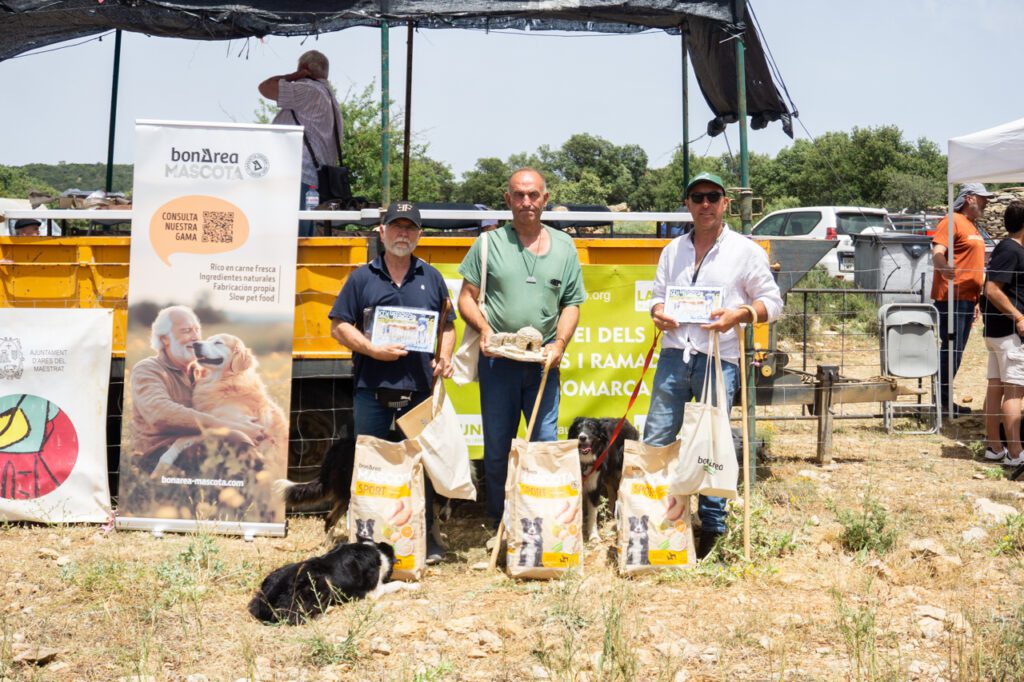 Ares vuelve a ser sede del concurso de perros pastores con un gran nivel de participación