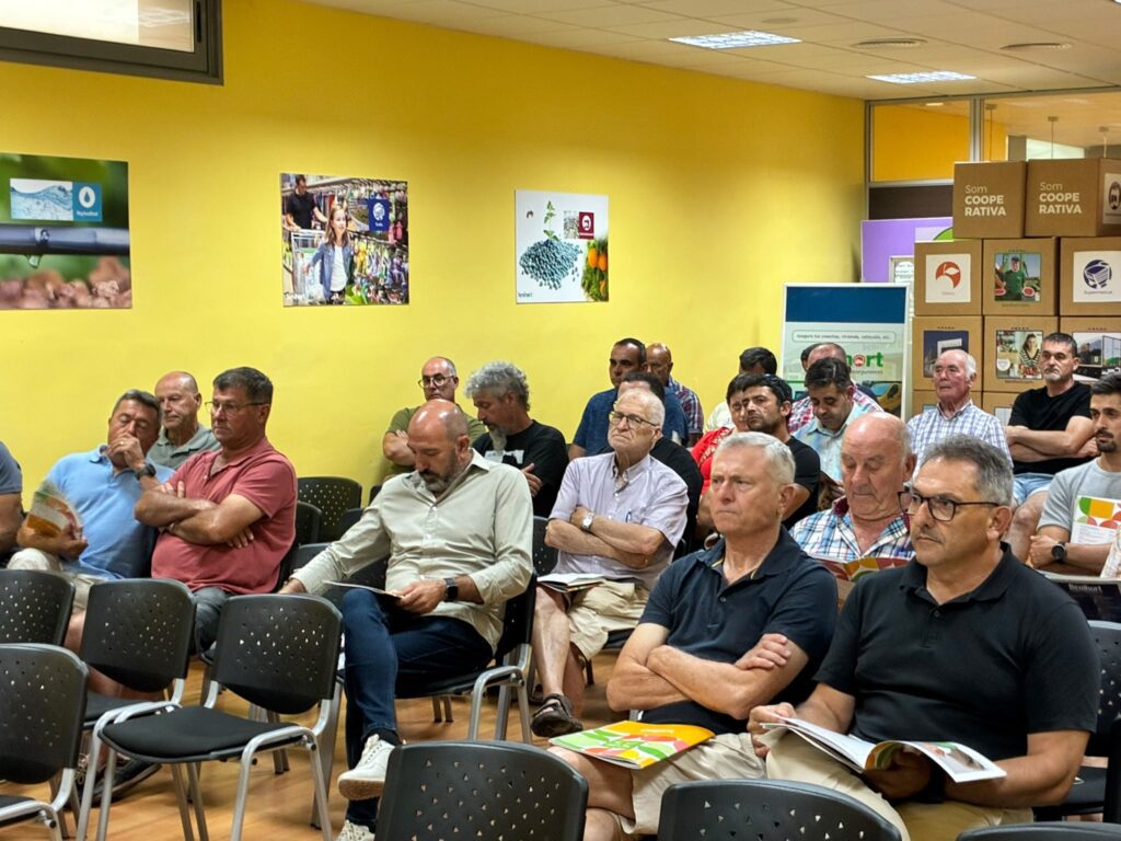 Récord de facturación de Benihort en 2025 con 55,7 millones de euros y un crecimiento del 5,4% – foto 4