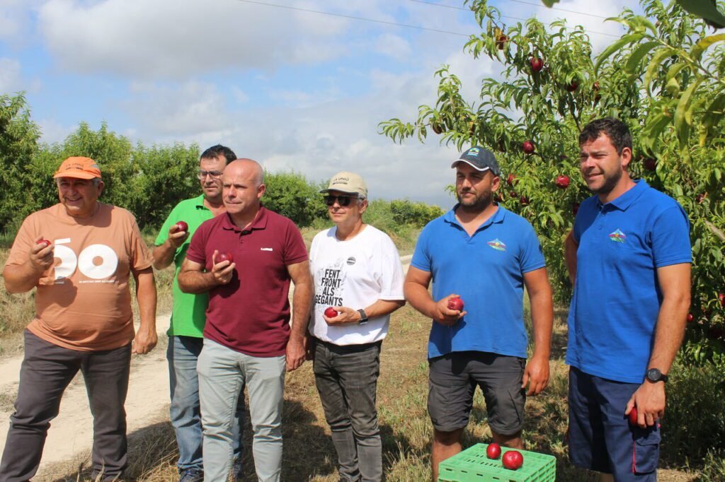 LA UNIÓ denuncia que un aumento de más del 20% en los costes de producción lastra la campaña de fruta de verano en la Comunitat Valenciana