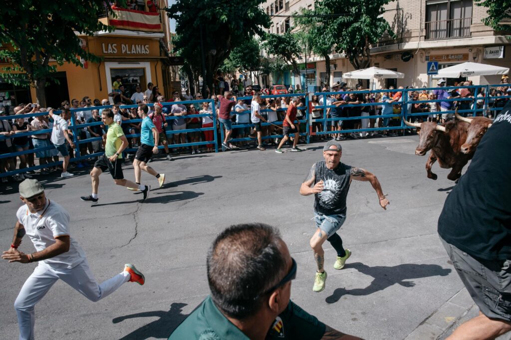Emoción y gran éxito de participación en el primer encierro de las fiestas de Sant Pere 2026