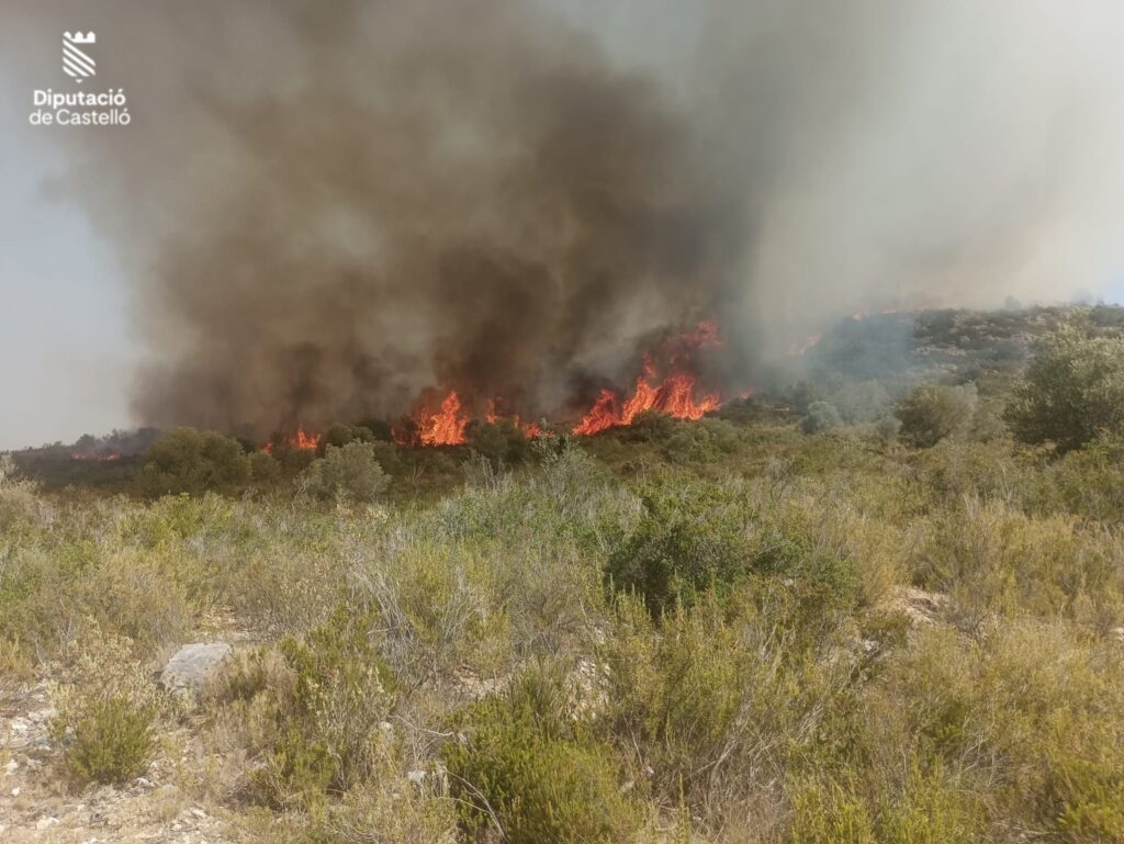 Los bomberos, con medios aéreos y terrestres, trabajan en dos incendios en la provincia – foto 1