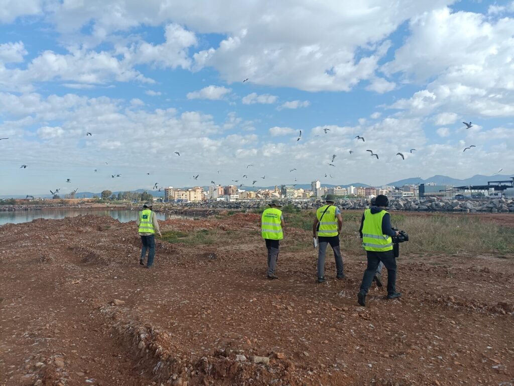 PortCastelló impulsa un plan de seguimiento para la protección y conservación de la gaviota Audouin