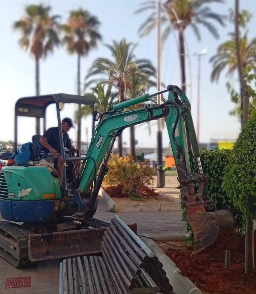El Ayuntamiento de Peñíscola inicia la ampliación del arbolado en la ciudad