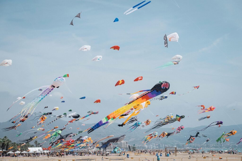 Excelente acogida de la III edición del Festival Internacional del Viento