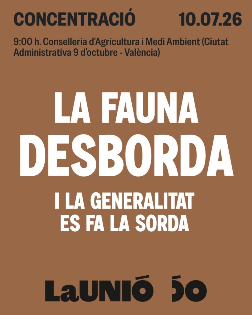 LA UNIÓ se concentra mañana ante las Consellerias de Agricultura y Medio Ambiente para exigir soluciones urgentes a los daños provocados por la fauna silvestre y el abandono agrario