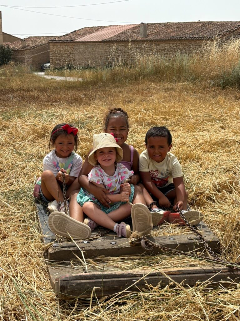 Un campo sembrado de futuro – foto 5