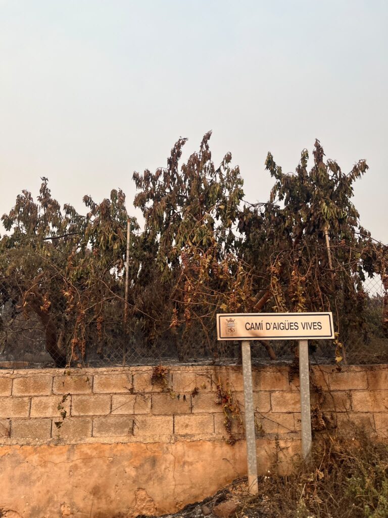 LA UNIÓ reclama un Plan Extraordinario de Recuperación Agraria para que el incendio de la Serra d’Espadà no provoque el abandono irreversible del territorio