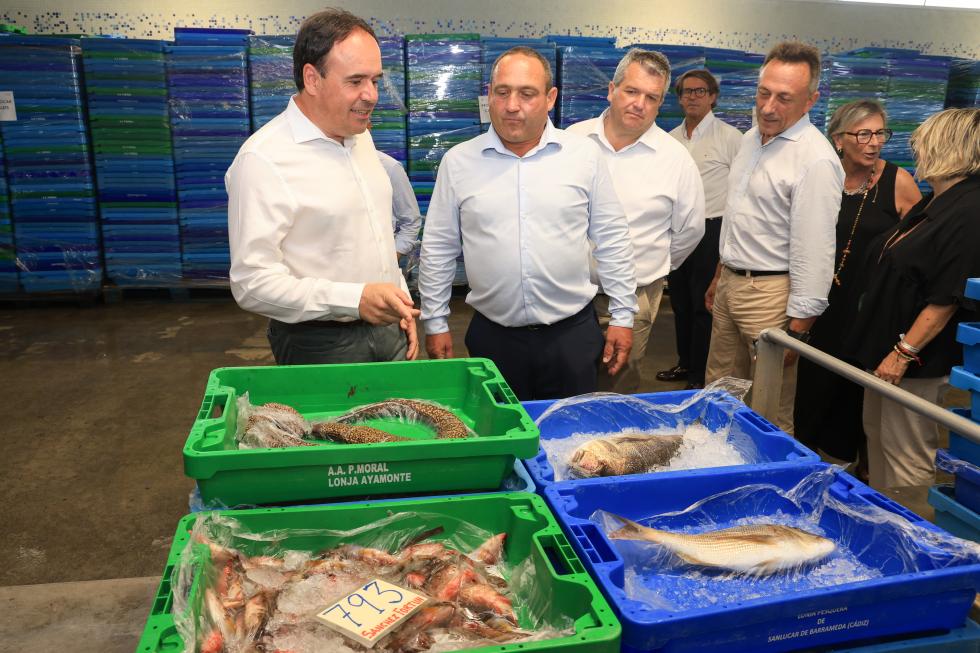 Pérez Llorca resalta el aumento cercano al 40% del presupuesto del Consell para el sector pesquero