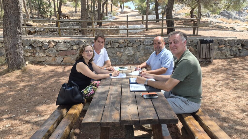 Castellón colaborará con los municipios afectados por el incendio en la reforestación de la Sierra de Espadán