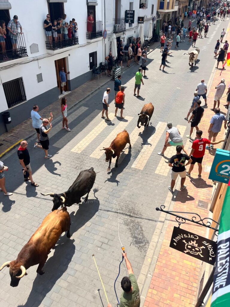 Soneja se prepara para vivir una Semana Taurina 2026 con una programación renovada y actividades para todos los públicos