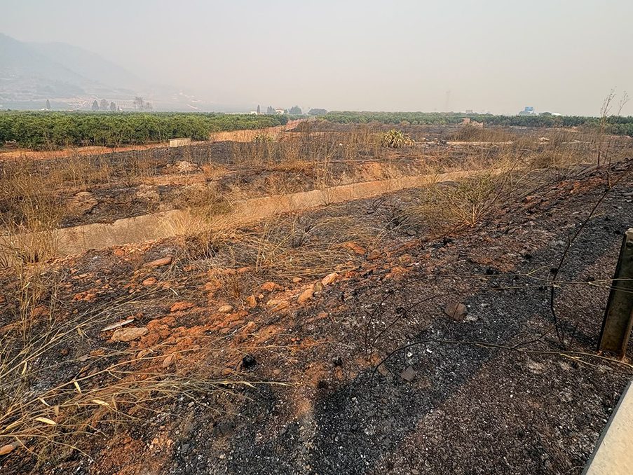 AVA-ASAJA advierte de campos, invernaderos y granjas afectadas por el incendio de Castellón