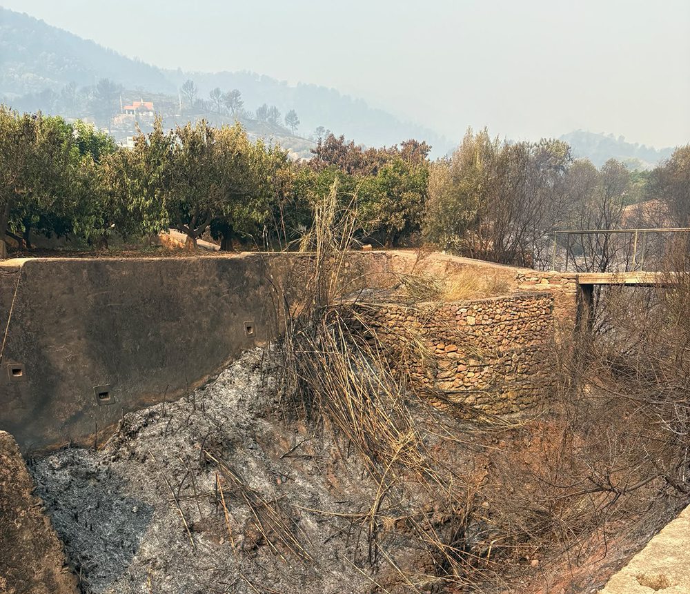 VA-ASAJA exige a la CHJ limpiar barrancos que han propagado el fuego a los huertos