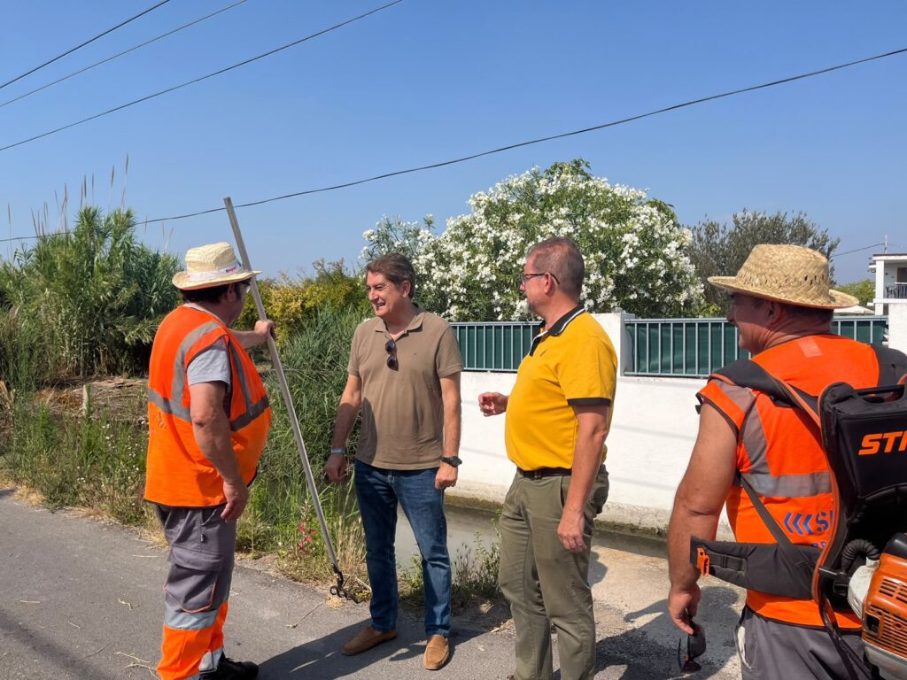 El Ayuntamiento intensifica la limpieza en los caminos de la Marjalería atendiendo a las peticiones vecinales