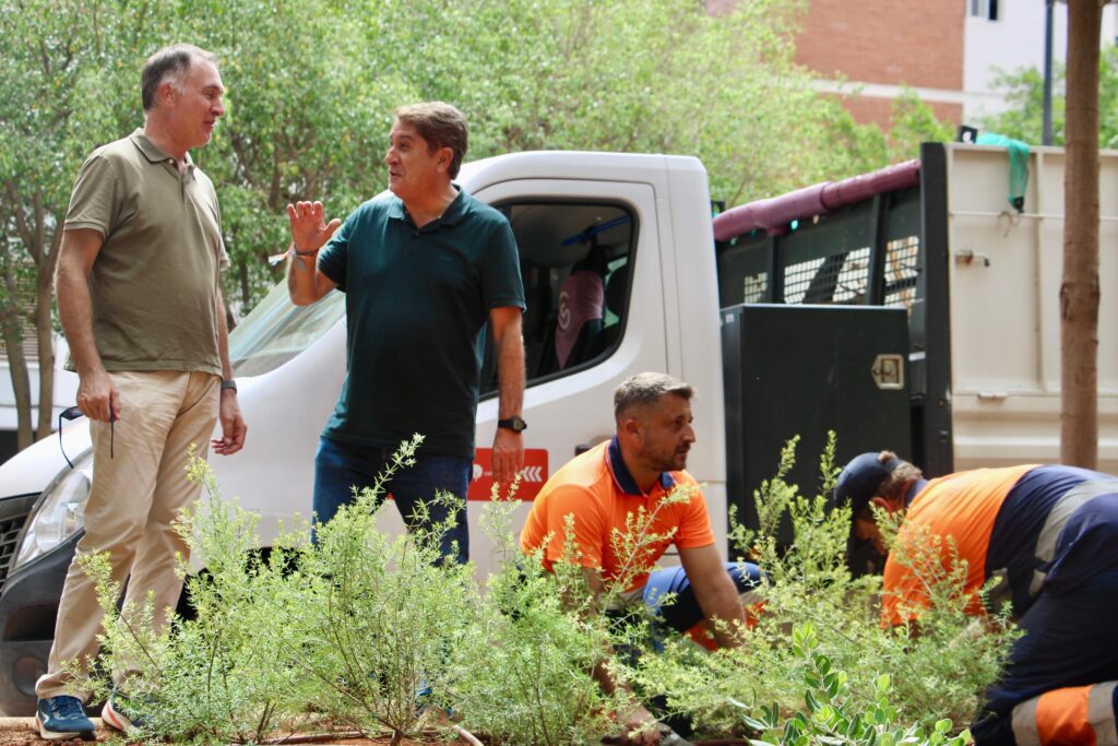 Castellón refuerza la renaturalización de la ciudad con la plantación de 200 plantas arbustivas en la plaza de la Constitución