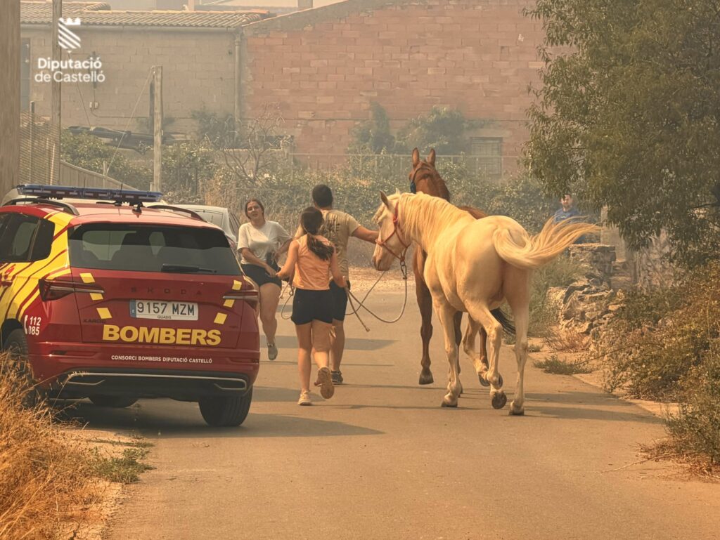 La Generalitat ordena la evacuación de Catí