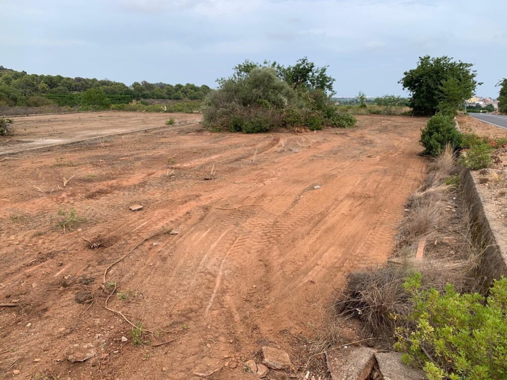 La Llosa intensifica el control de las parcelas agrícolas abandonadas y logra la limpieza de varias fincas