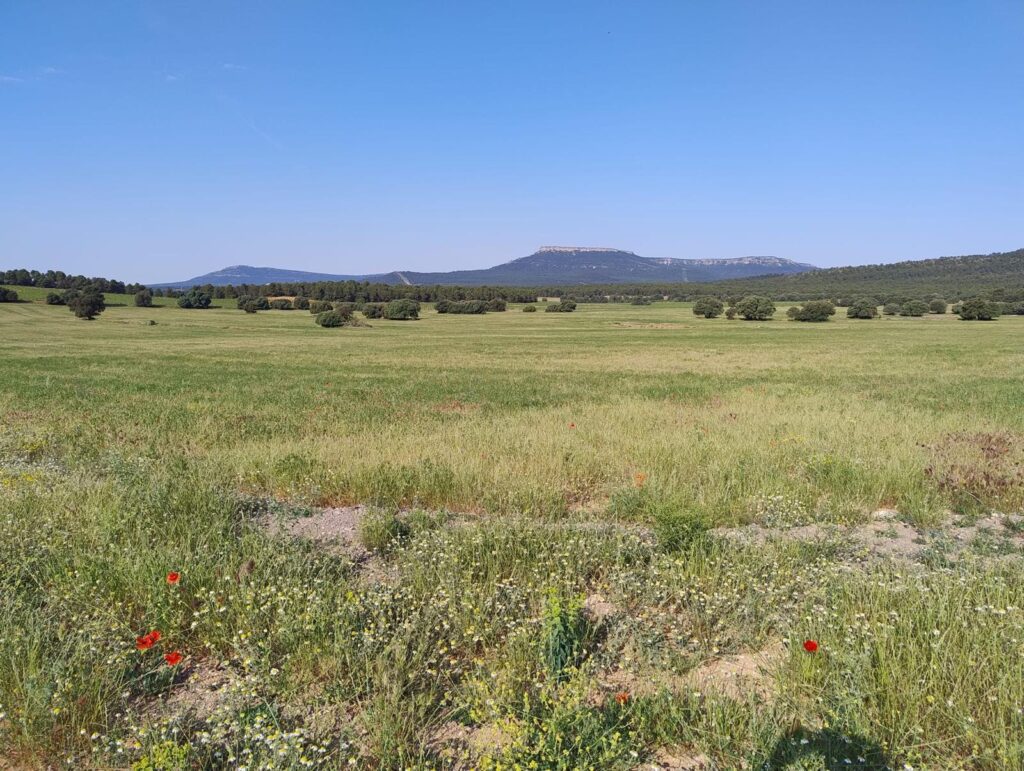 La Federación de Caza se suma al rechazo del macrovertedero de Zarra por su impacto ambiental y cinegético