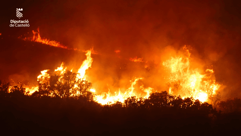 Un rayo provoca un incendio forestal en Segorbe