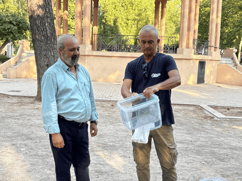 Castellón vuelve a aplicar la Técnica del Insecto Estéril para reforzar la lucha contra el mosquito tigre junto a la Conselleria
