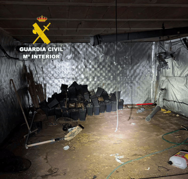 La Guardia Civil ha detenido a una persona por una plantación indoor de marihuana en Borriol