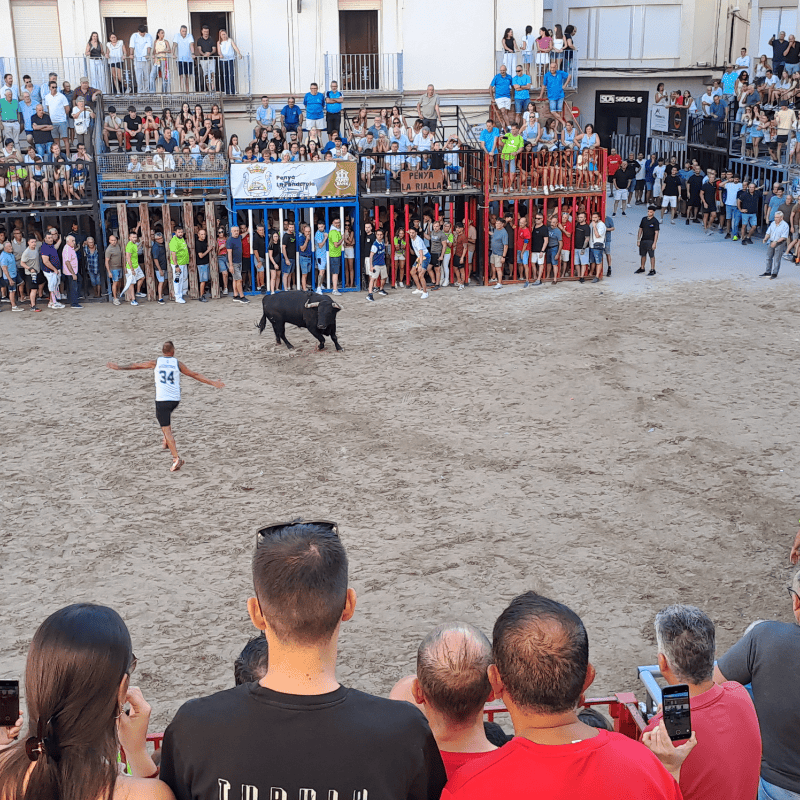 Nules despide sus fiestas patronales con una multitudinaria jornada taurina