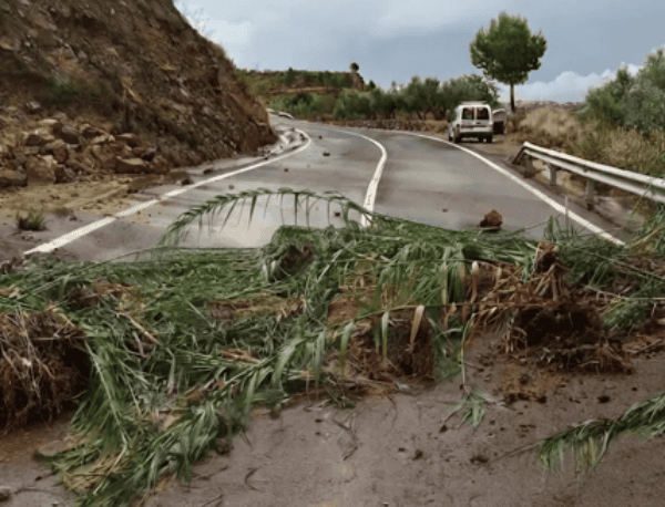 LA UNIÓ cuantifica en más de 10 millones de euros las pérdidas directas por los últimos siniestros agrarios en Utiel-Requena, la Vall d’Albaida y el Alto Palancia