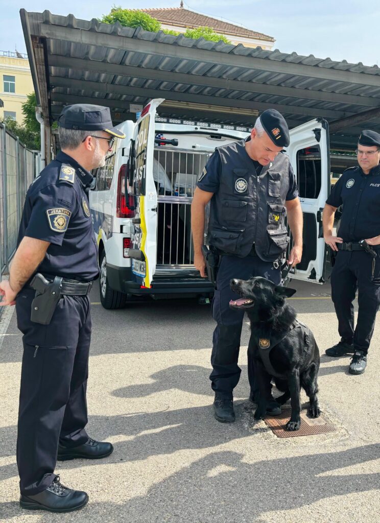 La Policía Local de Castellón detiene a un joven de 20 años por un presunto delito contra la salud pública