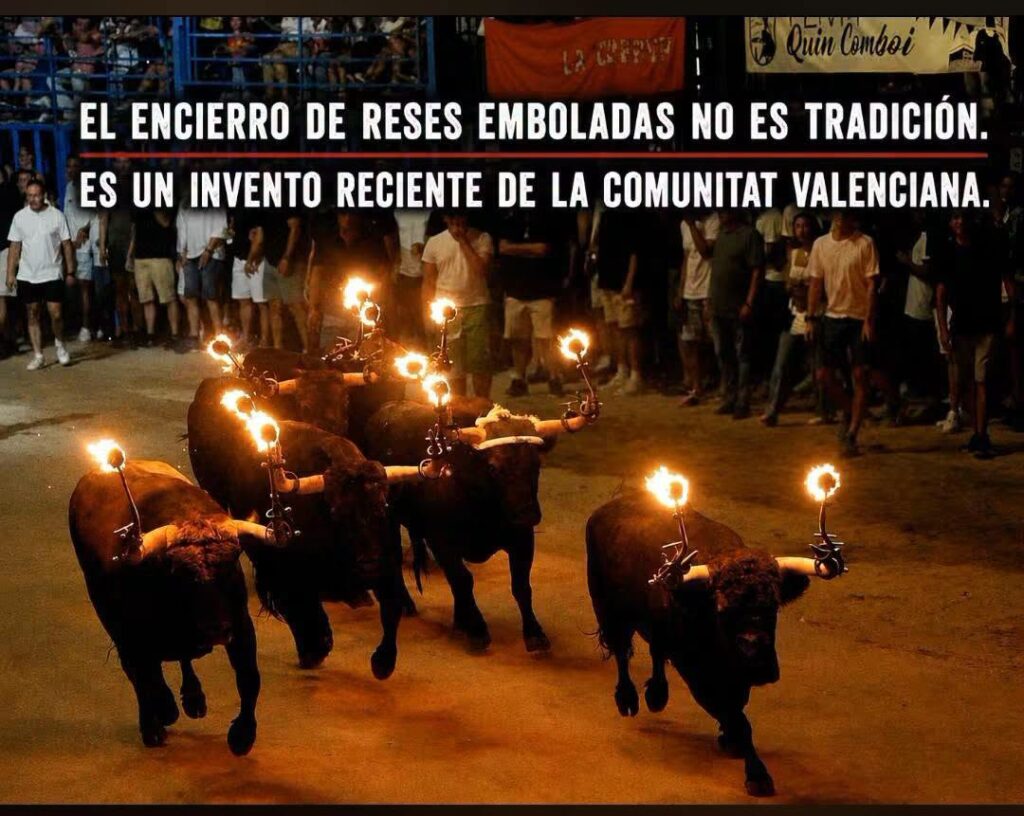 El mundo «antitaurino» se moviliza contra los toros embolados de Burriana y Vila-real