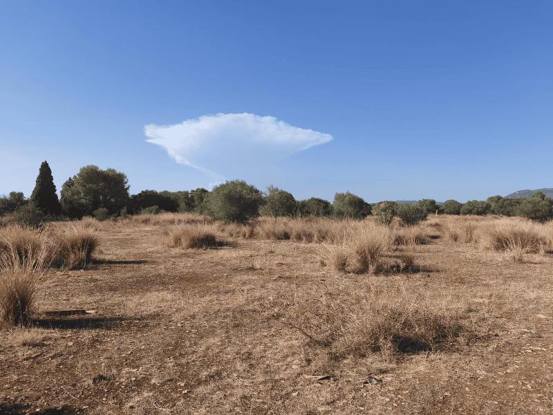 La Federación de Caza condena los disparos contra dos cazadores en un coto de Torreblanca