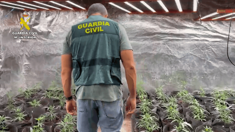 La Guardia Civil detiene a una persona por una plantación indoor de marihuana en Sierra Engarcerán