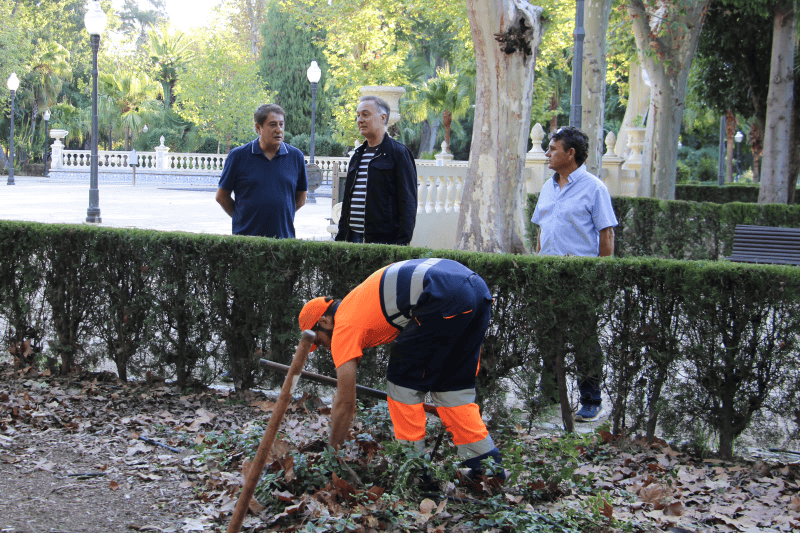 Castellón reutiliza los restos de poda de la ciudad para mejorar el suelo del Parque Ribalta
