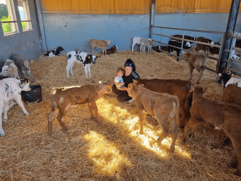 AVA-ASAJA se congratula de las nuevas ayudas del Consell a jóvenes agricultores