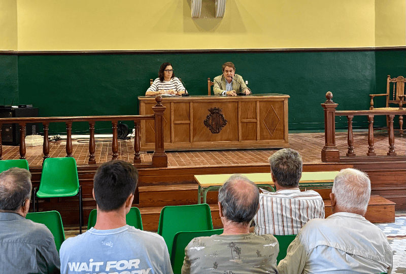 Castellón abrirá la nueva temporada del Mercat de la Taronja el 18 de octubre