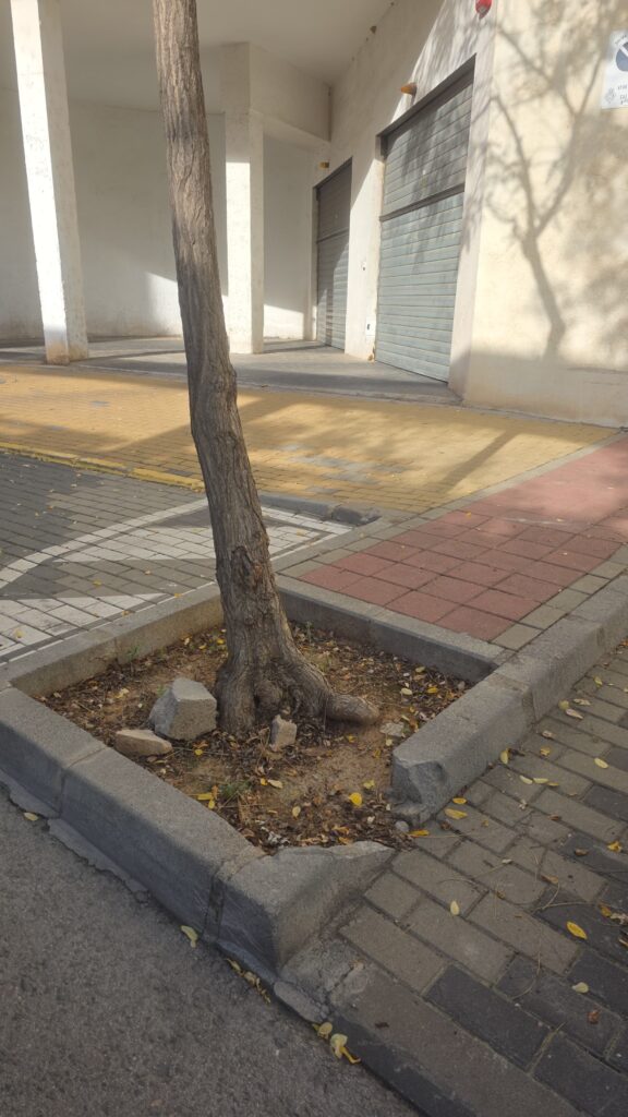 El PSPV denuncia el abandono de calles y solares en el distrito oeste de Castelló y reclama a Carrasco más mantenimiento y vigilancia en los barrios – foto 2