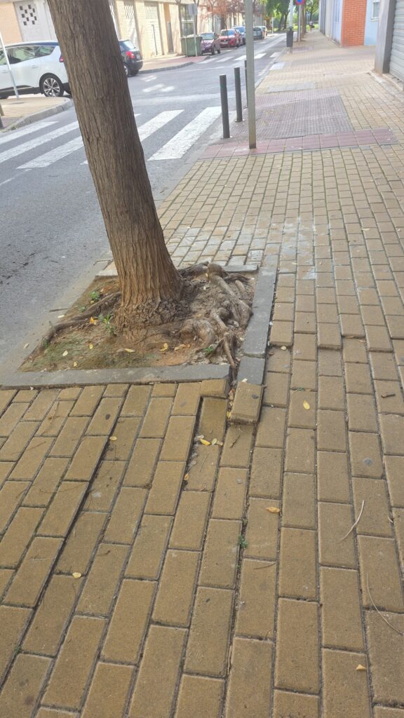El PSPV denuncia el abandono de calles y solares en el distrito oeste de Castelló y reclama a Carrasco más mantenimiento y vigilancia en los barrios – foto 3