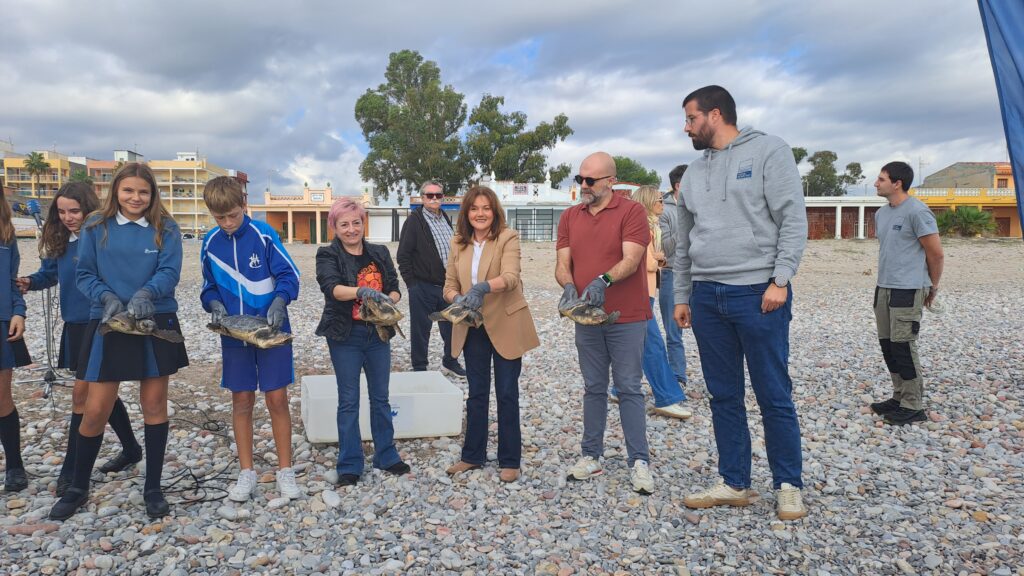 Las tortugas nacidas en Nules el año pasado vuelven al mar – foto 2
