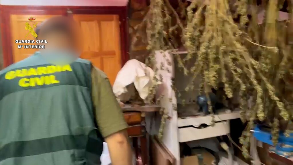 La Guardia Civil ha detenido a un hombre por un delito de amenazas y desmantela un laboratorio con productos químicos y marihuana en Lucena del Cid – foto 6