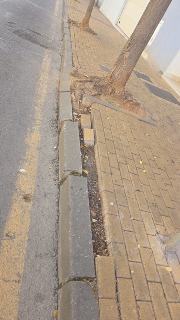 El PSPV denuncia el abandono de calles y solares en el distrito oeste de Castelló y reclama a Carrasco más mantenimiento y vigilancia en los barrios – foto 1
