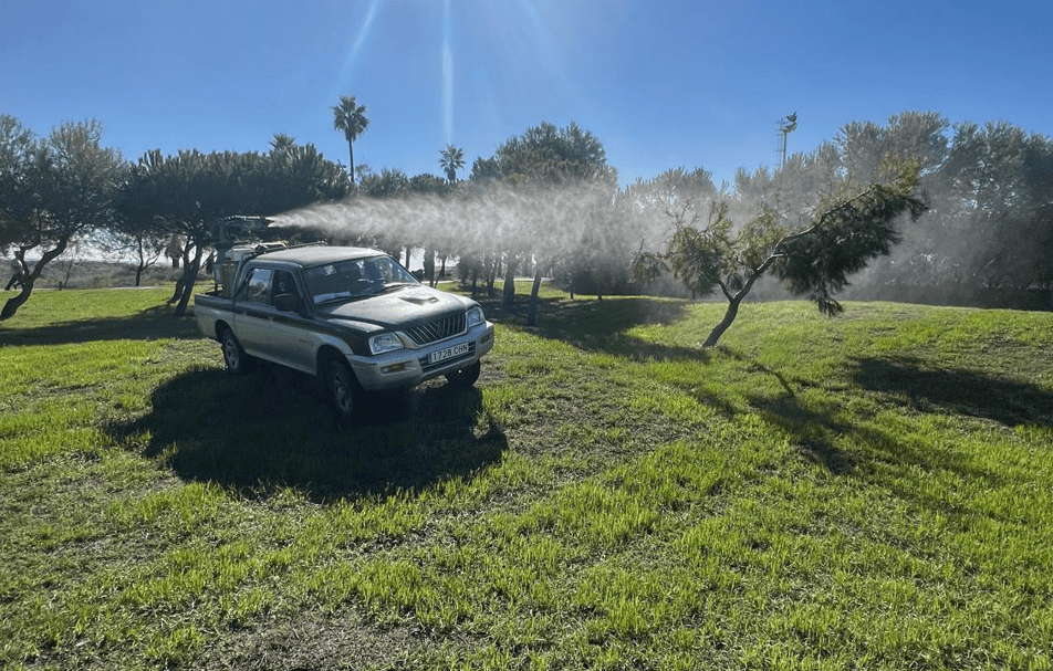 Castellón refuerza el control del mosquito tras las últimas lluvias con actuaciones en el Serrallo, el litoral y otras zonas del término municipal