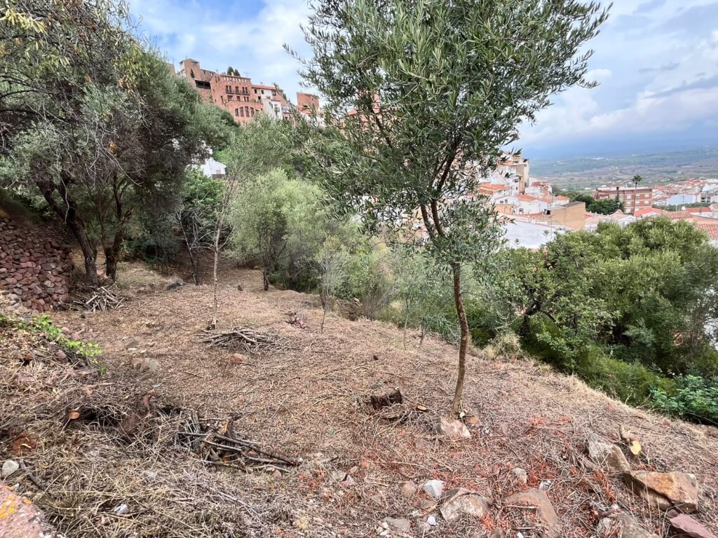 Vilafamés desbroza para prevenir incendios forestales – foto 5