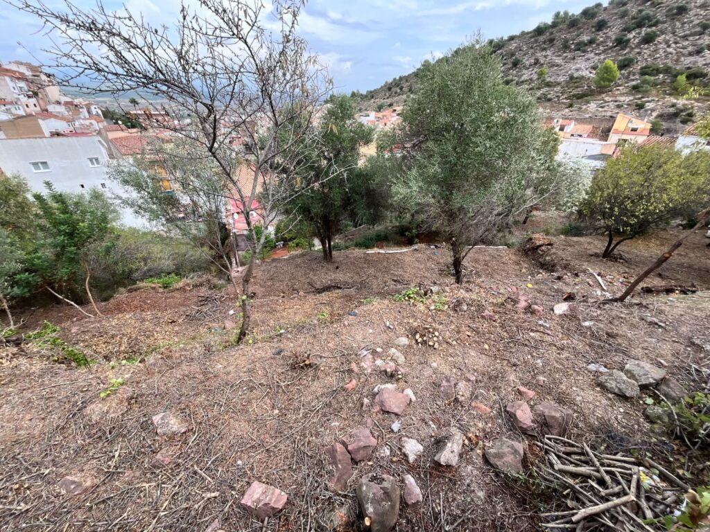 Vilafamés desbroza para prevenir incendios forestales – foto 7