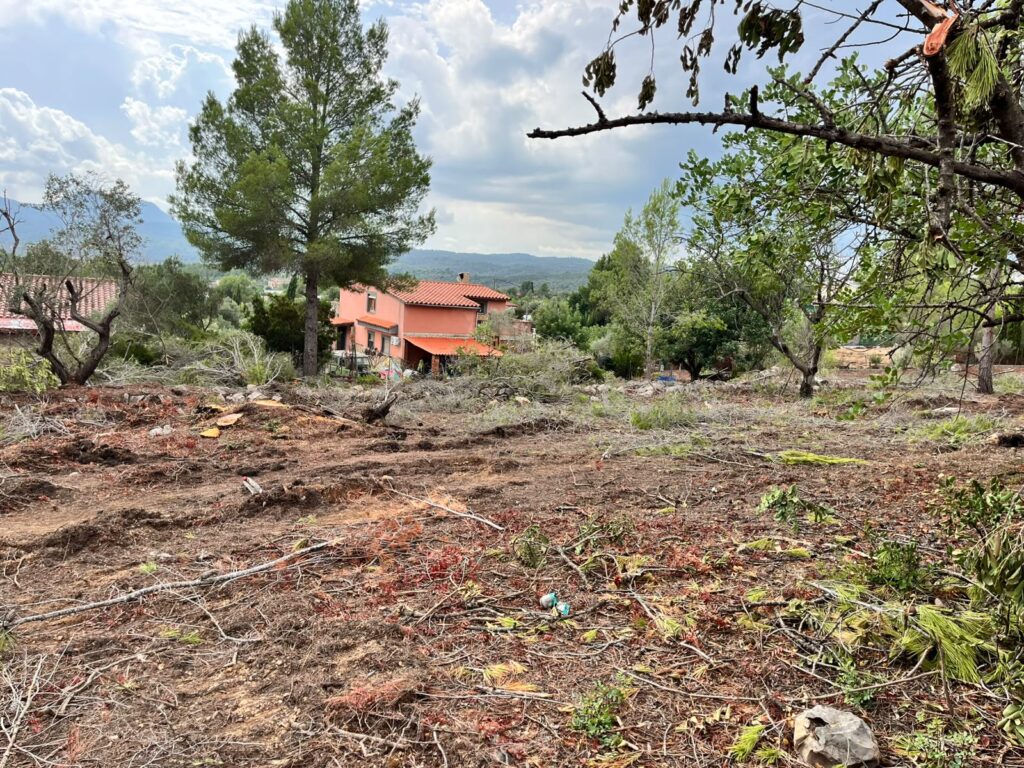 Vilafamés desbroza para prevenir incendios forestales – foto 2