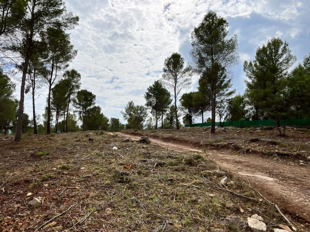 Vilafamés desbroza para prevenir incendios forestales – foto 1