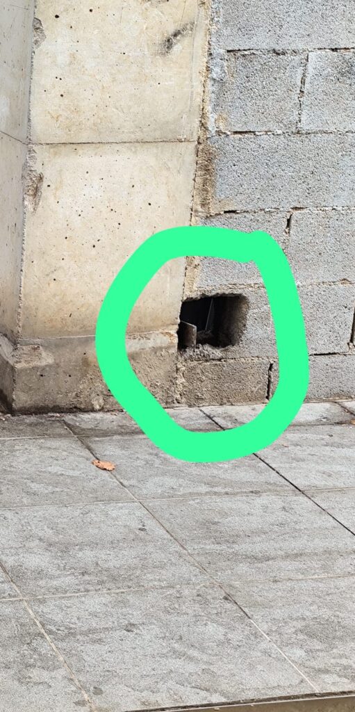 El PSPV denuncia el abandono de calles y solares en el distrito oeste de Castelló y reclama a Carrasco más mantenimiento y vigilancia en los barrios – foto 5