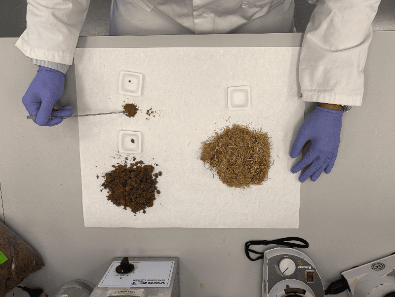 Un investigador de la UMH trabaja en un envase inteligente a partir de la paja del arroz para ayudar a conservar los alimentos