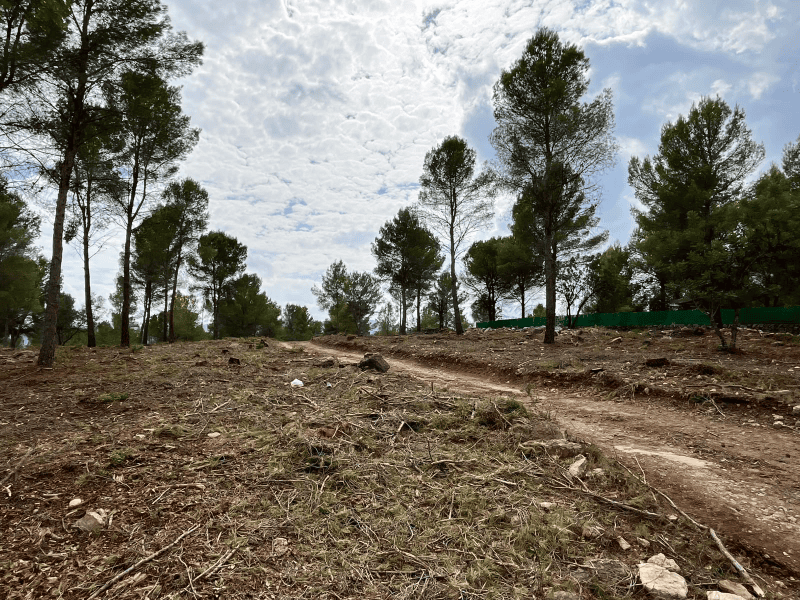 Vilafamés desbroza para prevenir incendios forestales