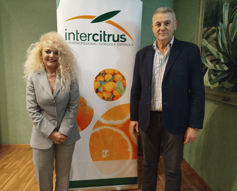 Intercitrus elige a Inmaculada Sanfeliu nueva presidenta y ejecuta la extensión de norma