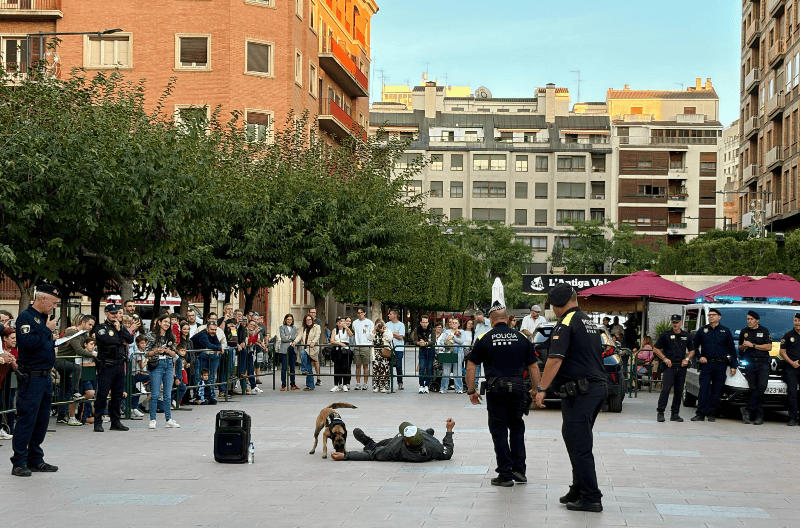Castellón muestra el trabajo de los perros policía con una exhibición en la plaza Huerto Sogueros