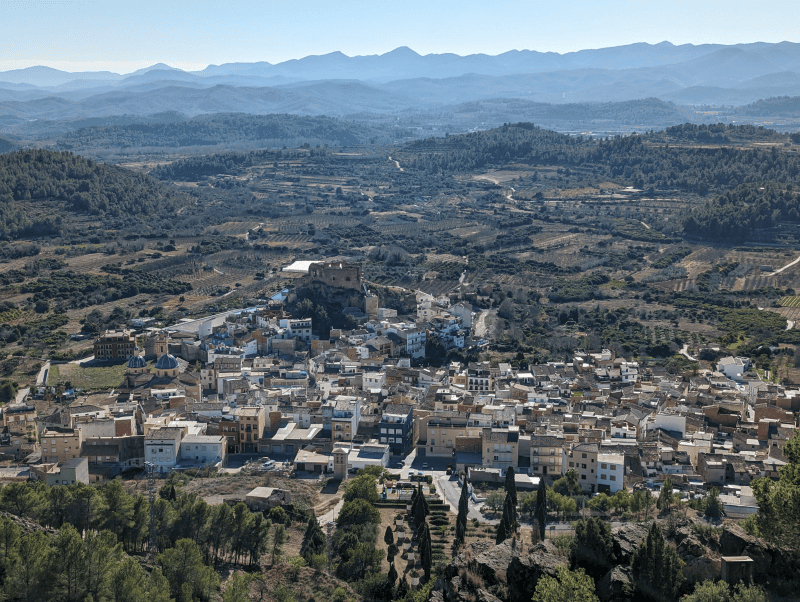Castellnovo consigue una subvención de 6.837 euros para mejorar la gestión de las colonias felinas del municipio